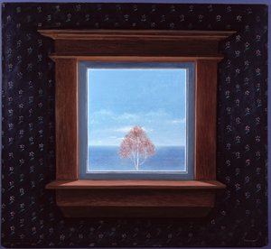 Skrz okno, 1981